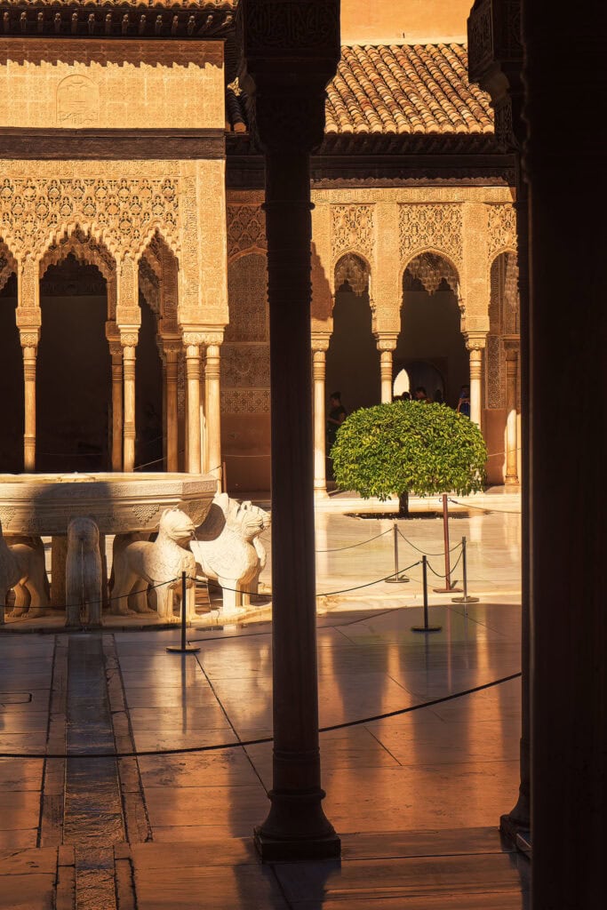 Patio_leones-HQ